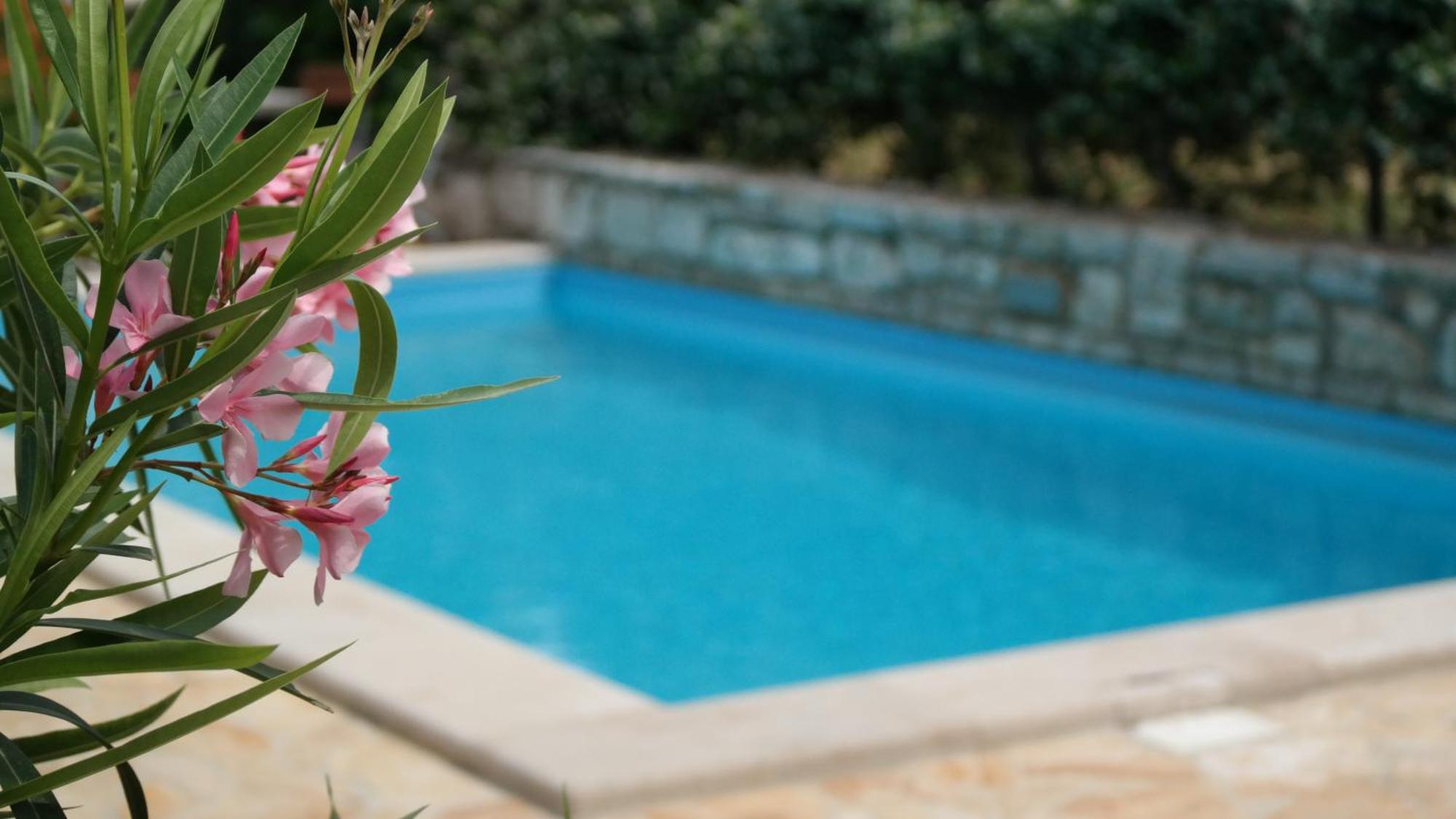 Terra Mirna Holiday home