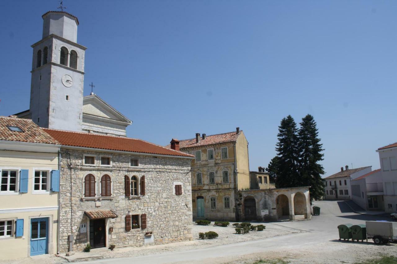 Terra Mirna * Vizinada