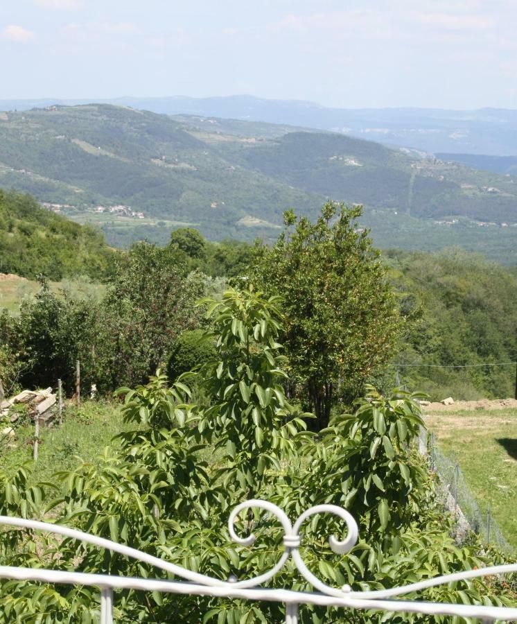 Terra Mirna Holiday home